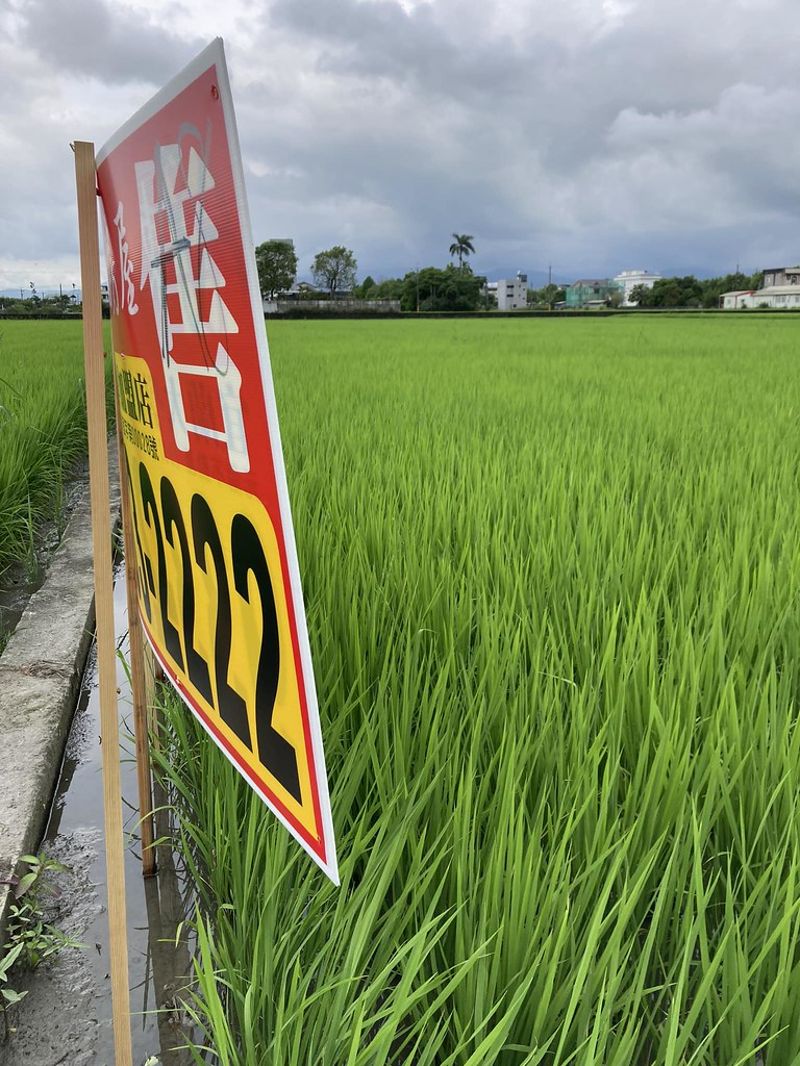 宜蘭流失農地遽增 在地小農發起「一坪地主計畫」對抗開發洪流