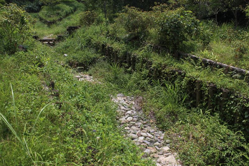 集水區野溪整治全民監督 「國有林地治理工程」上網全公開
