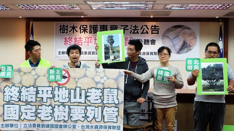 「國家級老樹」公告列管 六都掛零 愛樹人更批：中央未完善法規