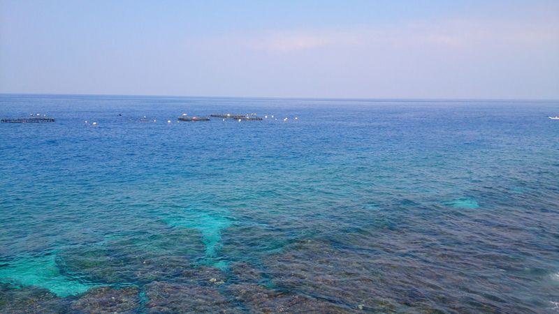 社會組海大富獎：關懷藍藍海洋～綠色遊程綠海鮮