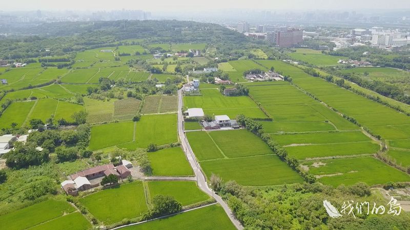 竹東徵收再起 工業區看上好水好田