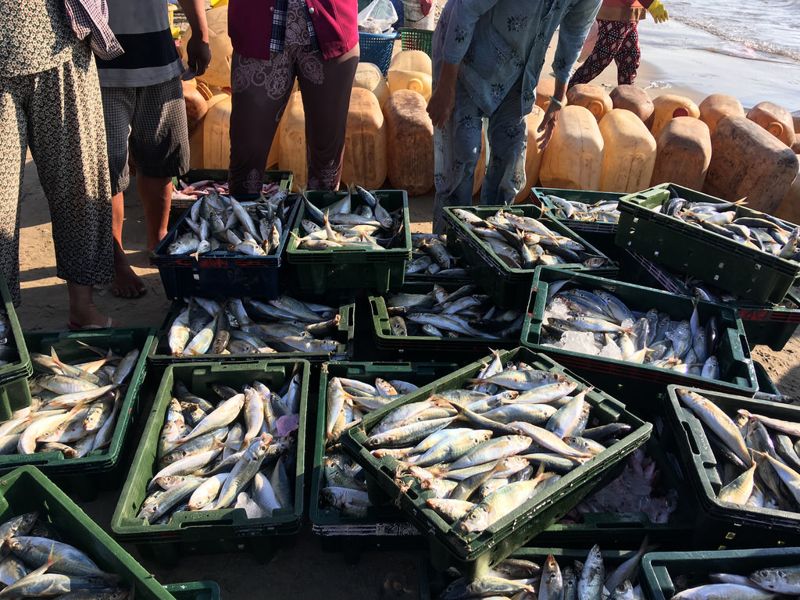 海洋沒魚可撈！ 島國漁民為生計涉險運槍毒