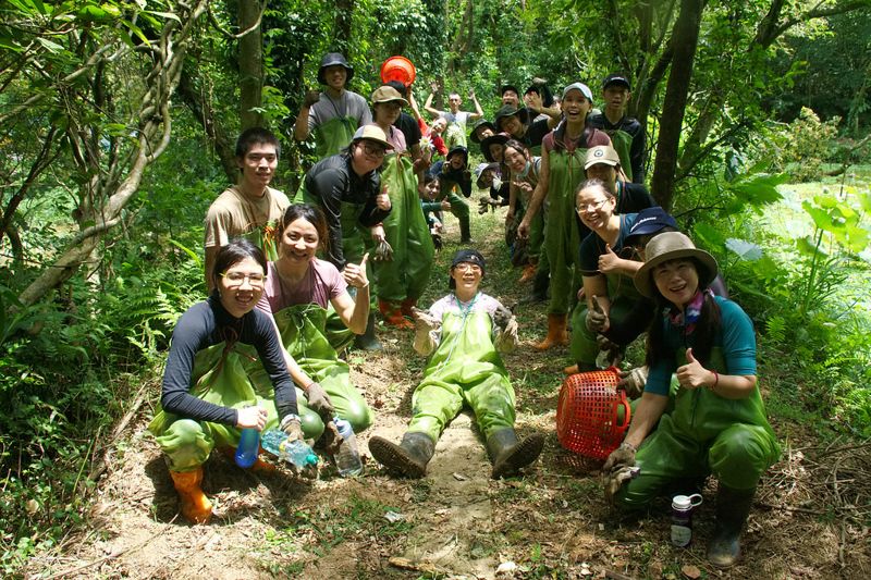 趁台北赤蛙非繁殖期 阿里磅生態志工工作假期整頓棲地