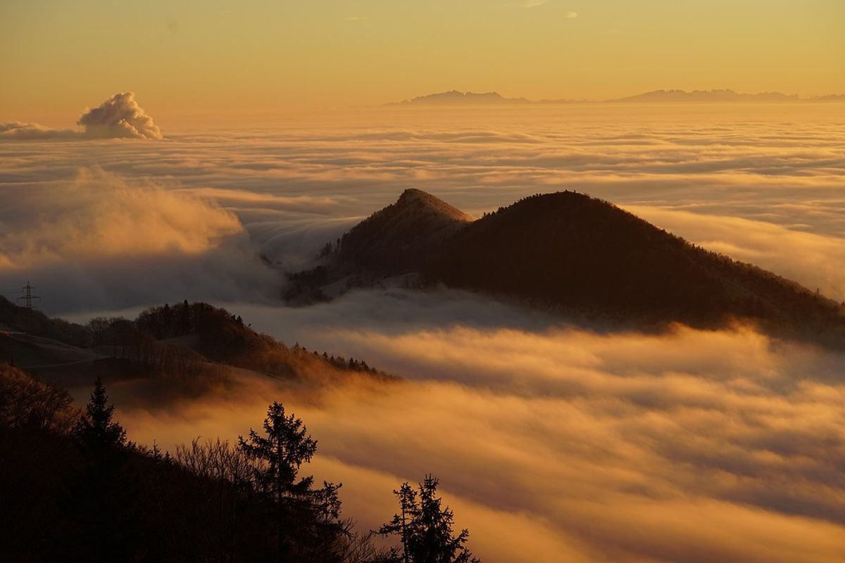 植物遷徙的非凡旅程 在台灣高山遇見千萬年歲橫斷山