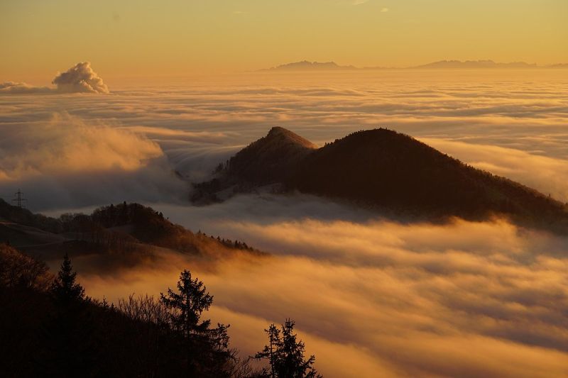 植物遷徙的非凡旅程 在台灣高山遇見千萬年歲橫斷山
