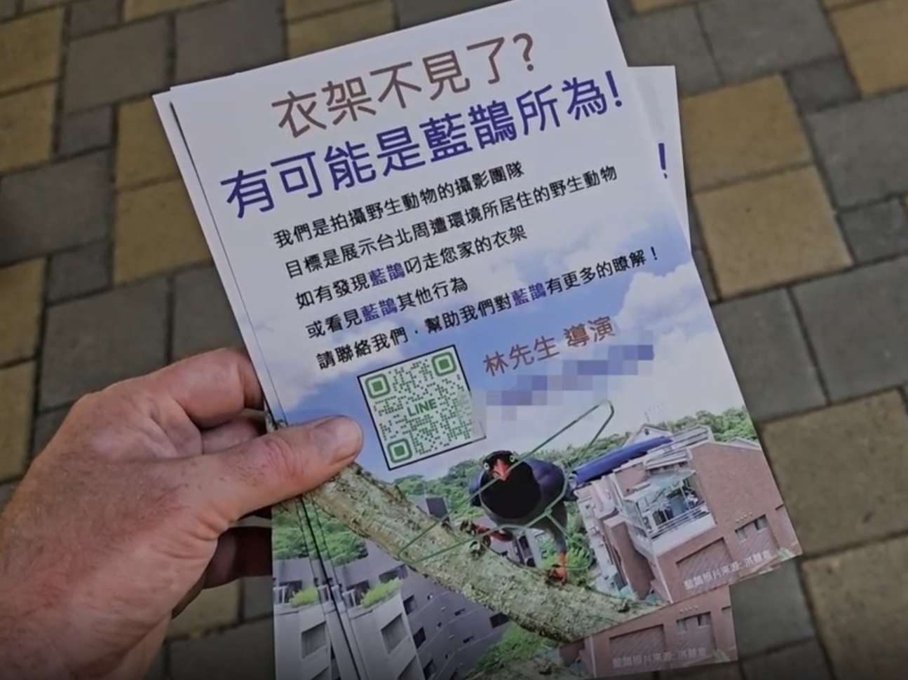 為了記錄藍鵲偷衣架的完整行為,《野性台北》拍攝團隊特別印製了500張傳單,發送給巢位附近的大樓居民。照片來源:擷取自Wild Taipei 野性台北提供影片