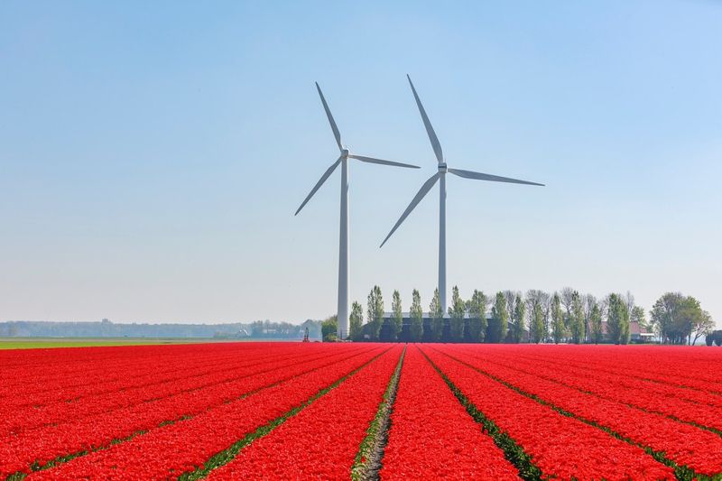 2020全年歐盟再生能源發電 首次超越化石燃料