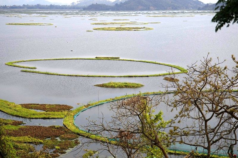 印度「浮島之湖」護生態 夜間捕魚將禁用LED燈