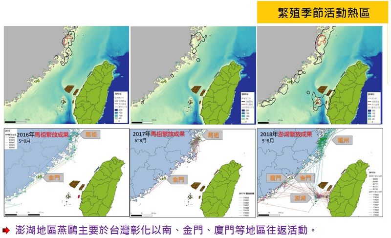 超前佈署恐落空 離岸風場鳥類通過降載機制喬不攏 環委：再交一次報告