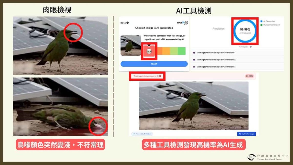 小鳥喝光電紅水暴斃為AI假影片 環境部：已報請檢察機關追查