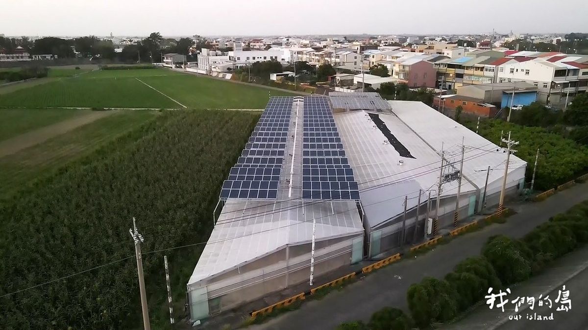 農加電有解嗎？ 農民、業者、政府如何看農電共生
