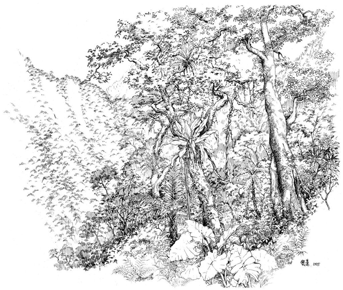 《女農討山誌》 沒有農地何來農安？ 沒有農安何來食安？