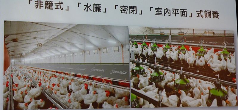 自救會不買單 卜蜂宣布暫停花蓮建場計畫 一養雞場已近完工