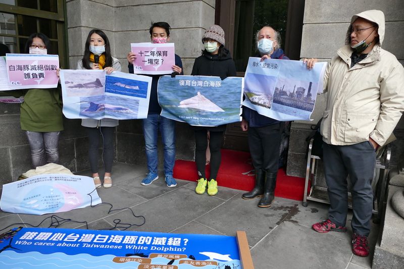 「白海豚真的不會轉彎」 控訴12年保育一場空 環團監院陳情