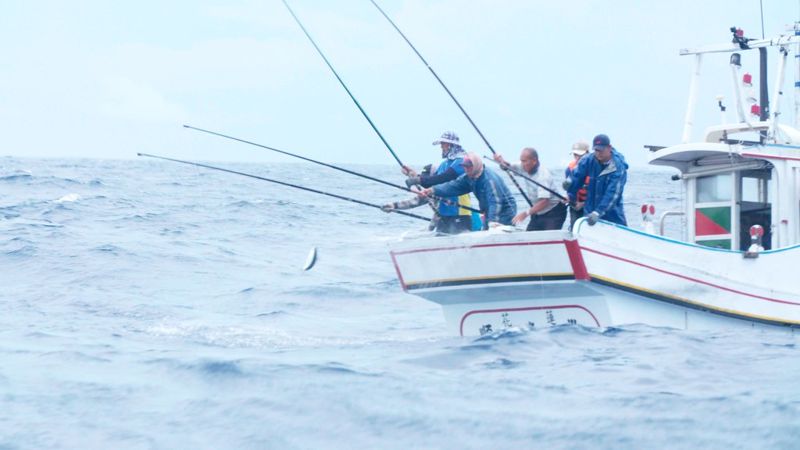 蹦火仔、叫魚栽......《我家住海邊》走訪討海人記憶 那些被遺忘的海洋文化