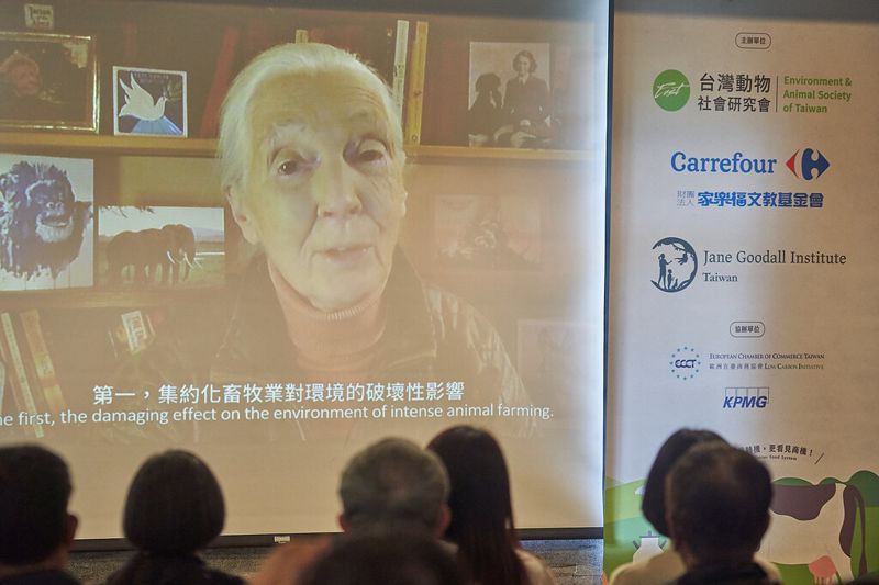 台灣友善畜牧論壇 雞豬牛業者到齊 珍古德勉勵為環境、健康和動物努力改變