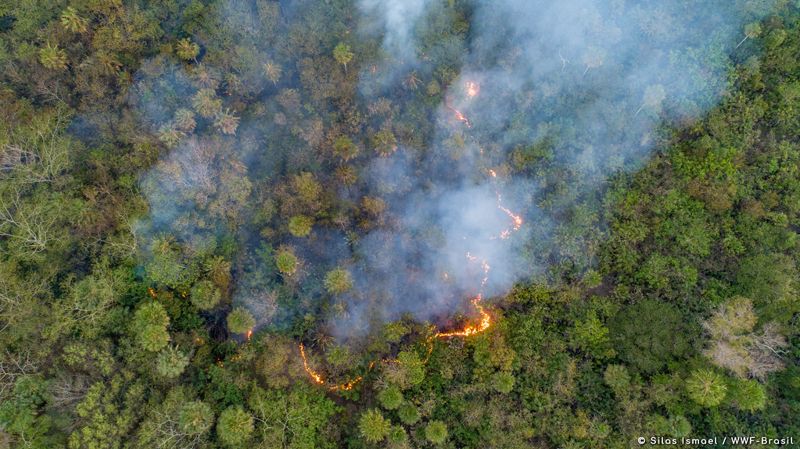 全球最大濕地「內外燃燒」中 潘塔納爾火勢15年來最嚴重