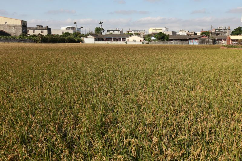 生命的救贖來自 一口新鮮空氣、一方乾淨土壤