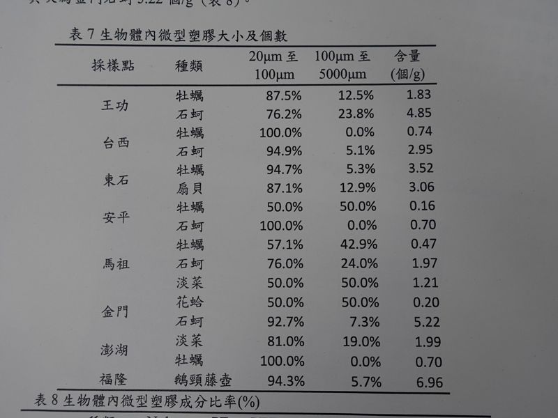 貝類含微塑膠 聯合國「仍鼓勵攝食海鮮」環署：源頭減塑是重點