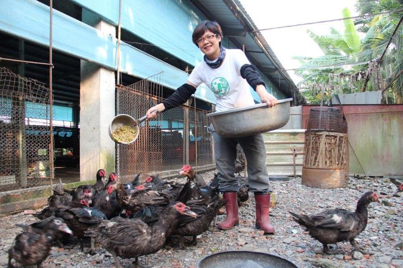 從養雞開始改變世界——作家變雞農端「友雞」膳循環