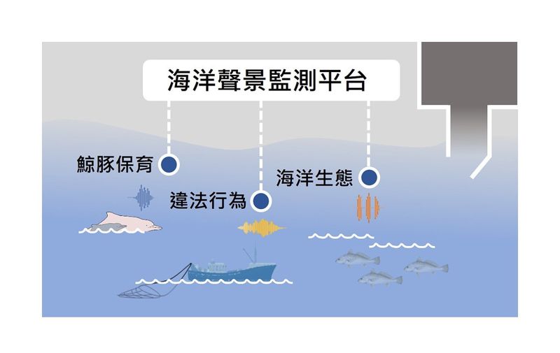 林子皓、余欣怡、姚秋如／從小虎鯨再度迷航思考鯨豚擱淺的預警系統