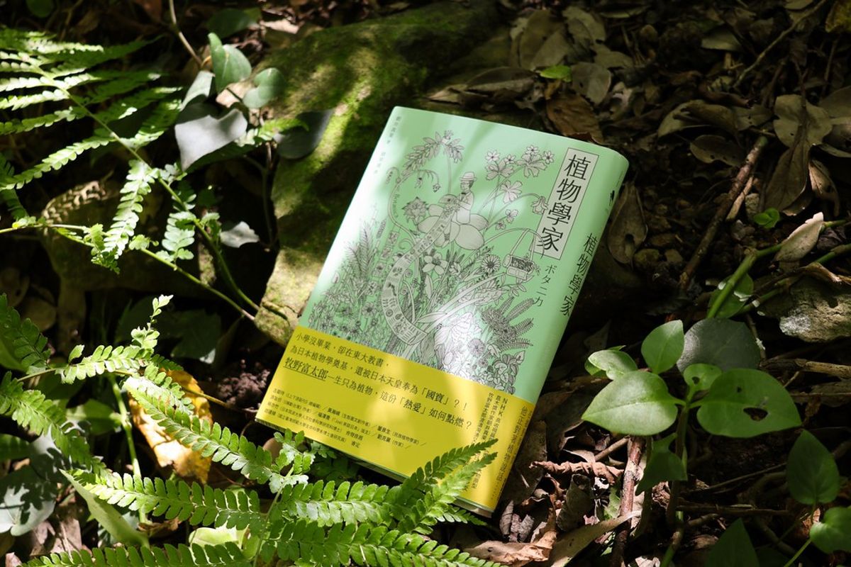 《植物學家》寫牧野富太郎：從標本、寫生闡明故鄉「植物相」