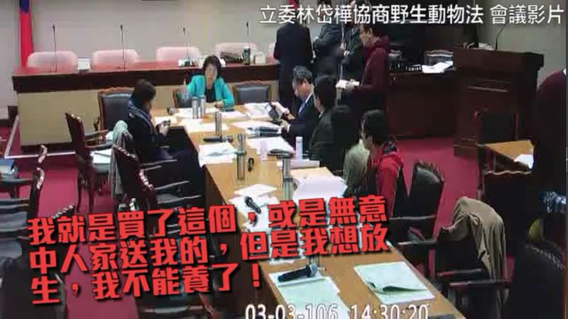 林岱樺修法支持「個人隨機放生」惹議 萬人連署反對