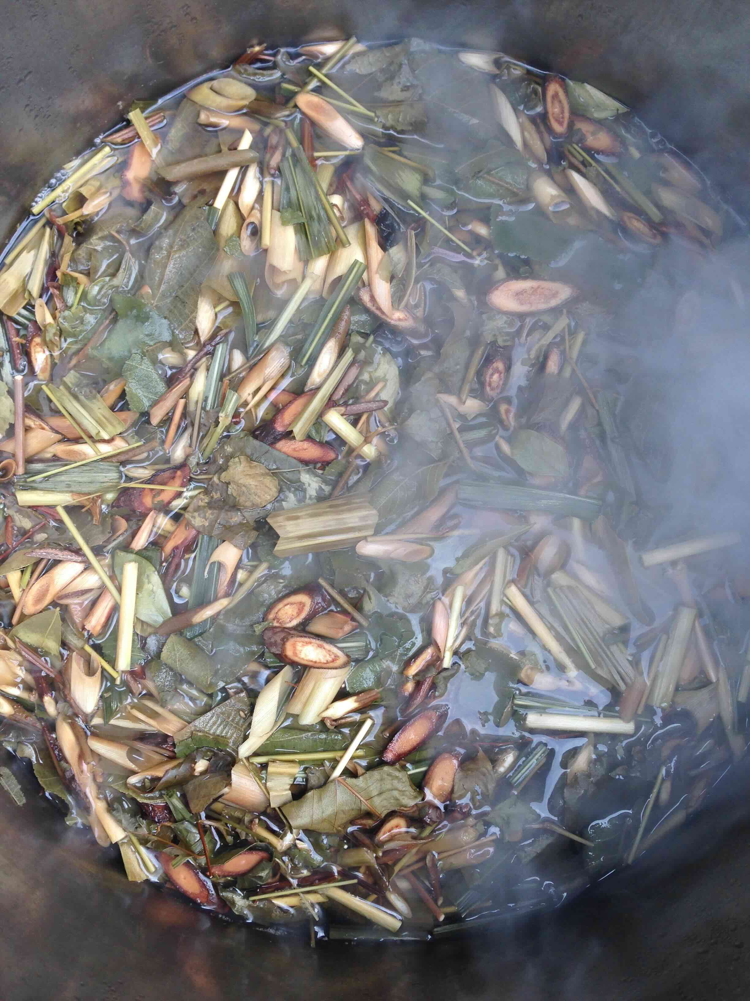 從採集、整理、熬煮到分享,林芝宇將青草茶轉化為「雜草茶」,希望透過一杯茶,引導更多人重新理解土地與植物的價值。圖片來源:林芝宇 提供