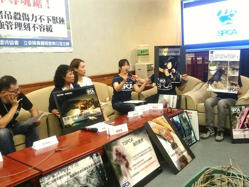 山豬吊等陷阱幾成「奪魂鋸」 動保團體籲加快禁用