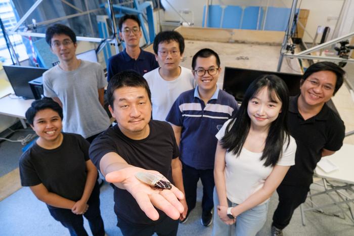 新加坡南洋理工大學機械與航太工程教授佐藤(Hirotaka Sato)手持一隻穿有潛水服的馬達加斯加蟑螂。圖片來源:NTU Singapore