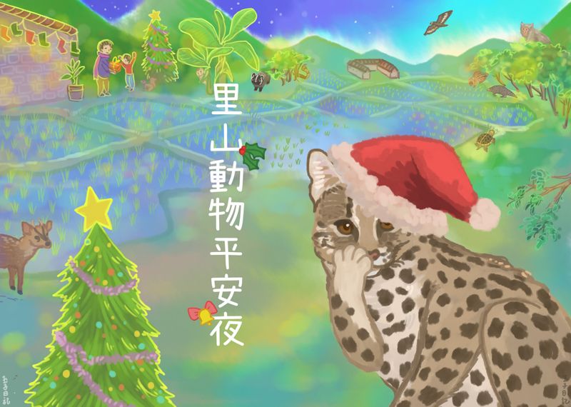 守護棲地，讓里山動物平安過聖誕！
