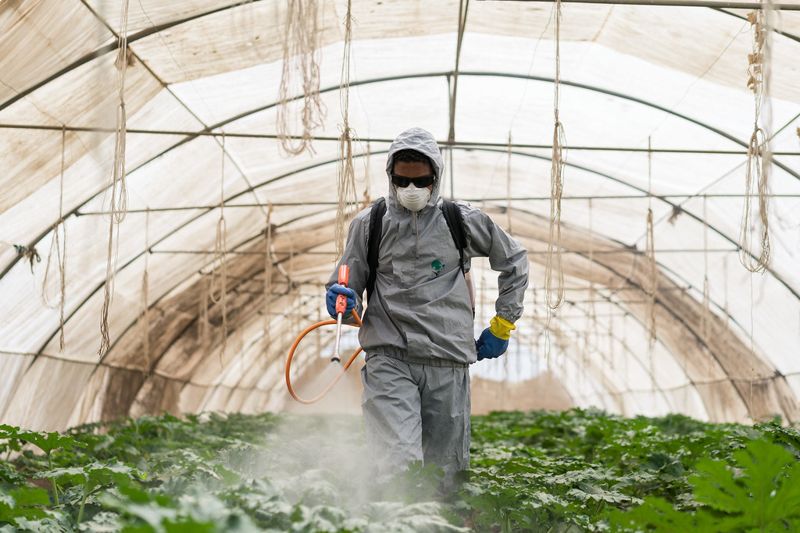 劇毒農藥賺很大 一年賣數十億美元 愈窮國家用愈兇