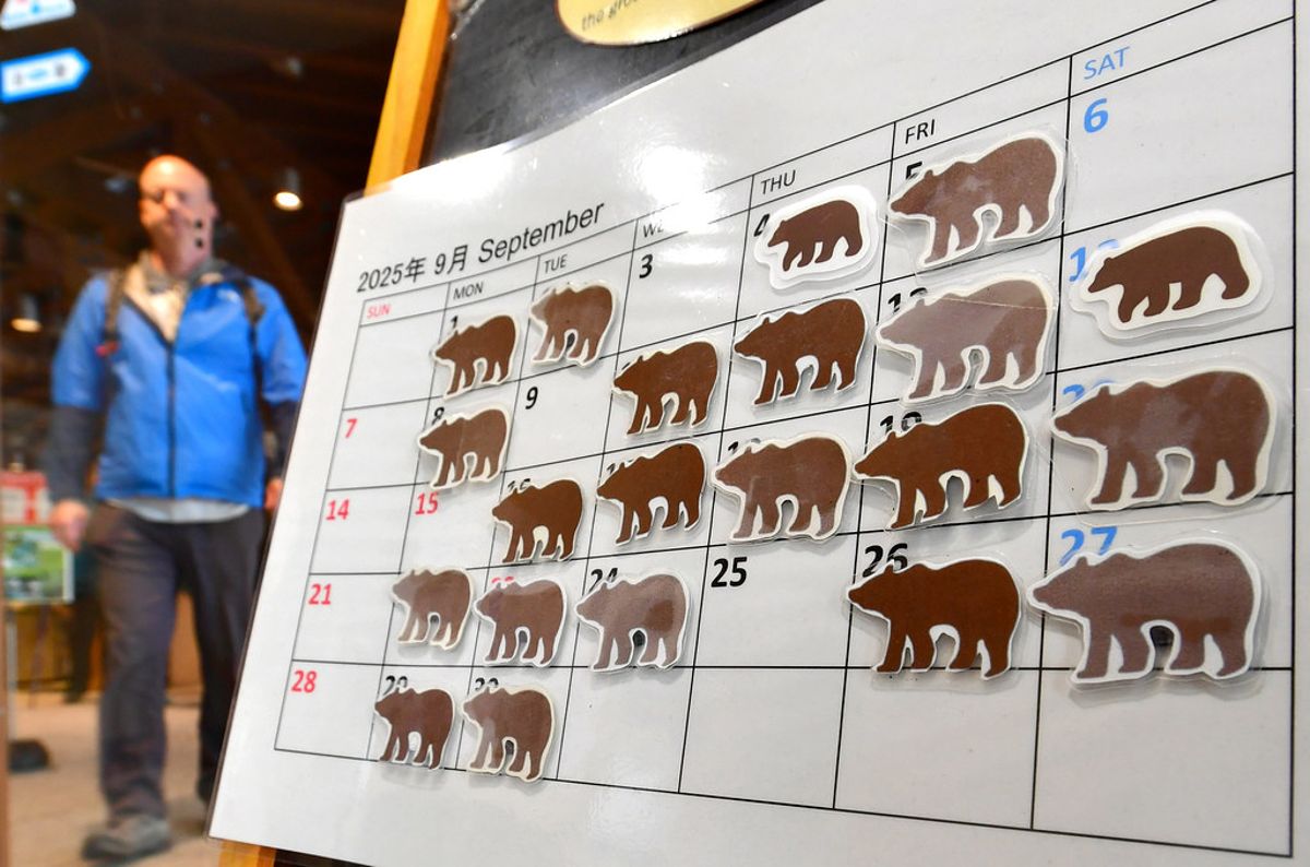 日本熊出沒是真新聞還是AI假影片? 轉發前先注意這些事