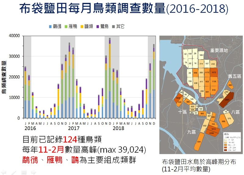 布袋鹽田三年鳥況監測：光電施工期間數量不尋常暴增 整體無顯著變化