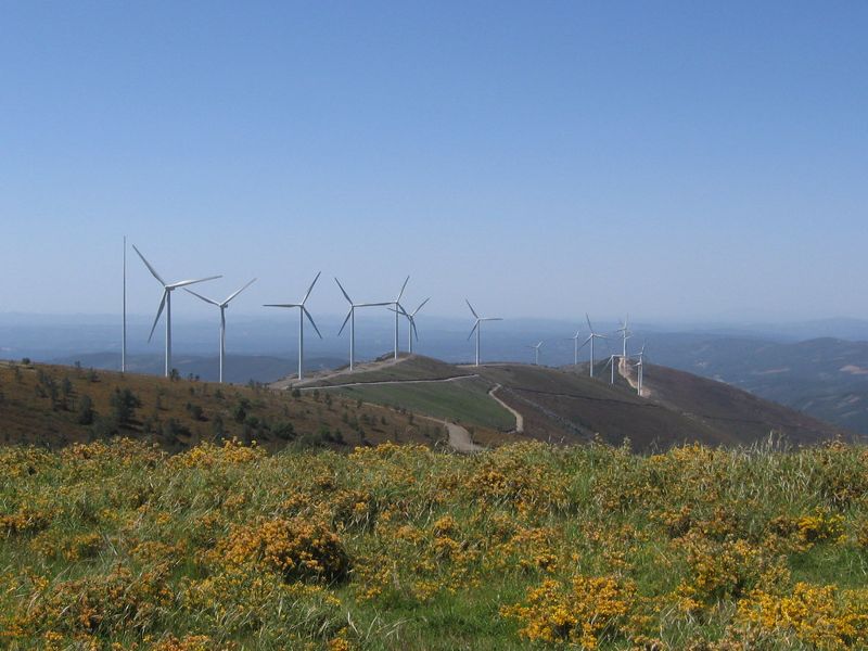 綠電重大突破 2020上半年歐盟再生能源占比超越化石燃料