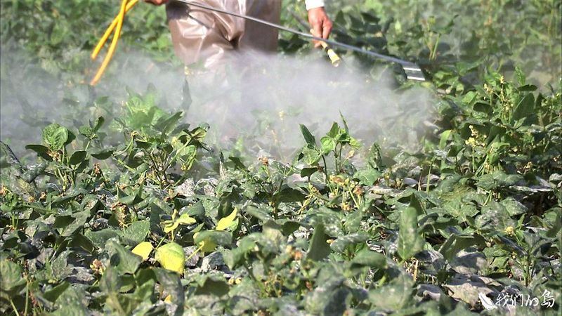 透視嘉磷塞 增訂殘留容許量應該嗎?