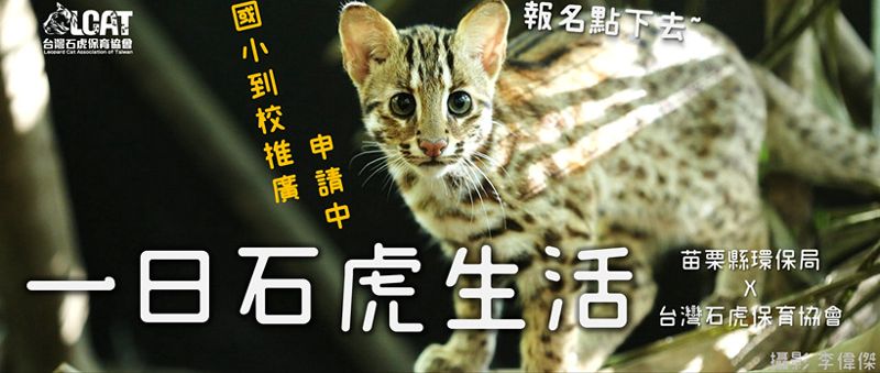 石虎保衛戰，小隊員募集中！