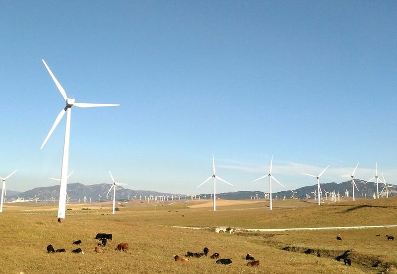 熱到快融化？ 聯合國：緊急減少甲烷排放 2045年全球可降溫0.3°C