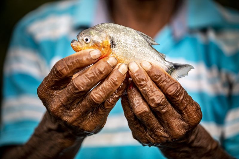 消失的淡水魚 WWF報告：餵飽2億人的重要產業，1/3族群卻已瀕臨滅絕