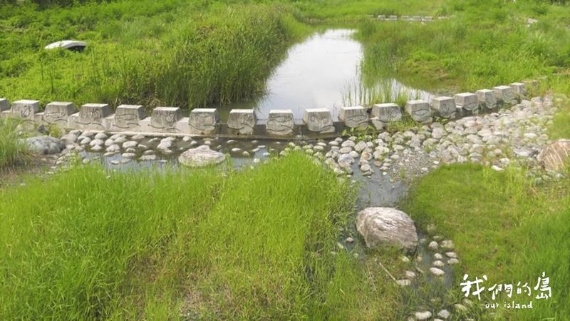 野溪整治大亂象 開發思維下的生態危機