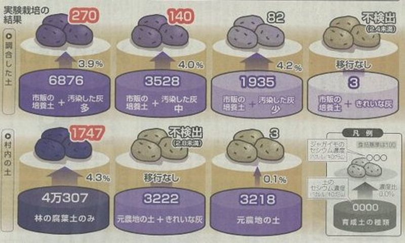 福島農夫的七種土質實測：土壤輻射污染越高，作物污染越嚴重