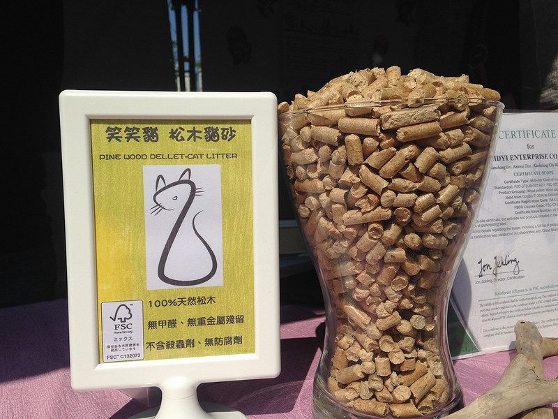 首個森林市集開市 FSC認證貓砂 秀出台灣永續創新智慧