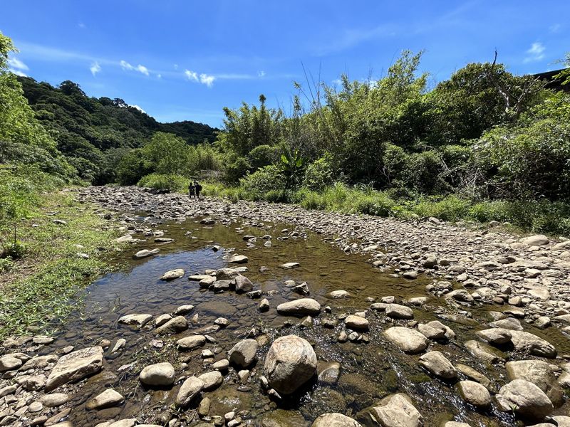 打掉混凝土堰體、鋪上天然石塊 重建遠望坑溪洄游魚兒回家之路