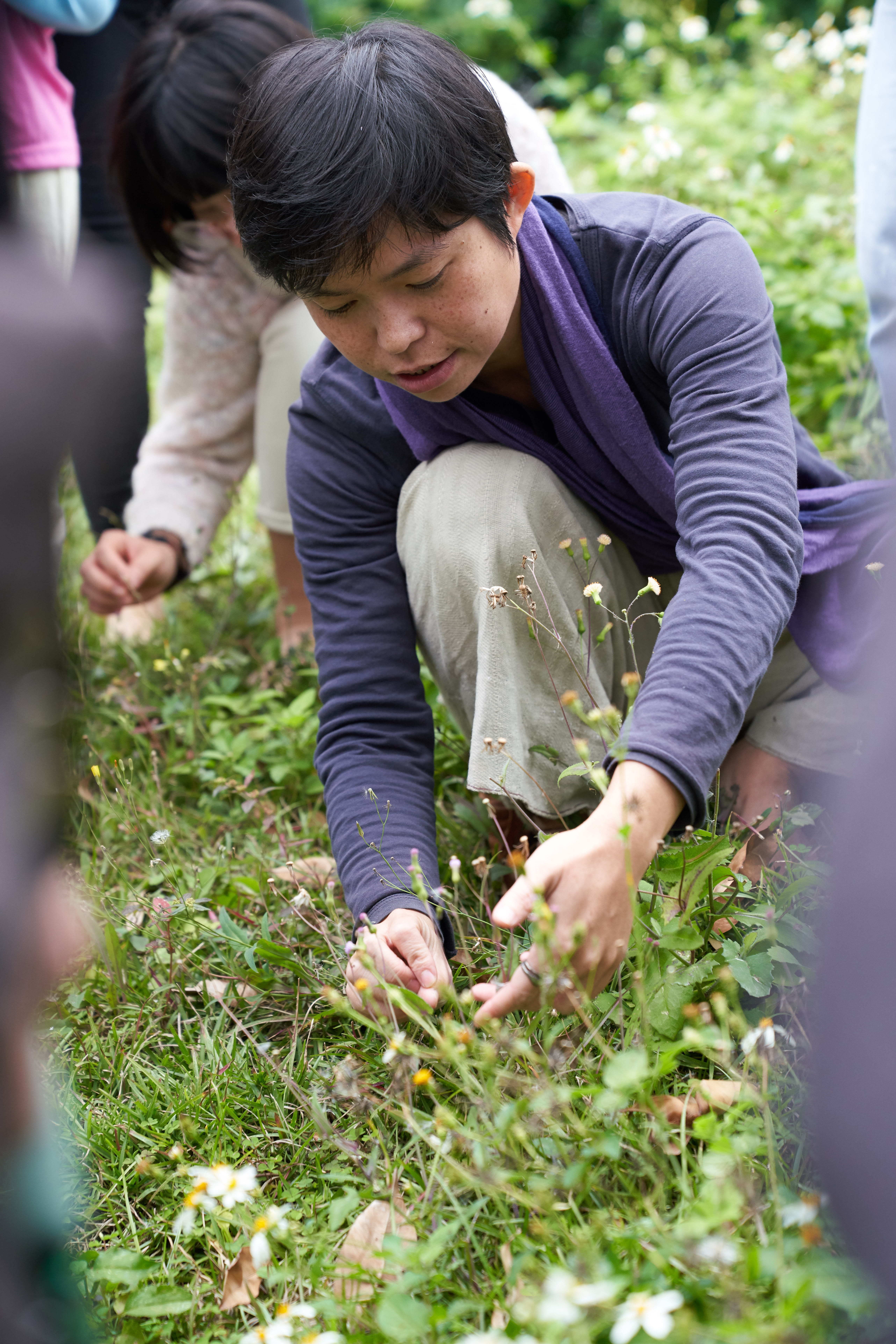 雜草稍慢共同創辦人林芝宇,2014年因單車環島接觸青草文化,從青草茶出發,逐步發展出結合植物採集、藝術創作與環境教育的「當代採集」實踐。圖片來源:林芝宇 提供
