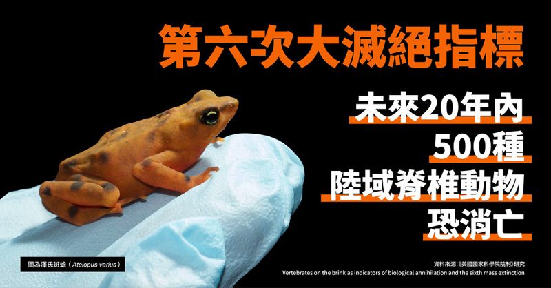 第六次大滅絕指標 這些物種20年後恐再也見不到