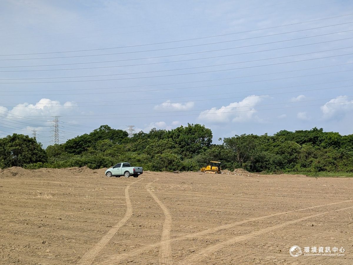 20260629-南科沙崙案專題-稿5-橋頭科 路竹科 草鴞-H攝6