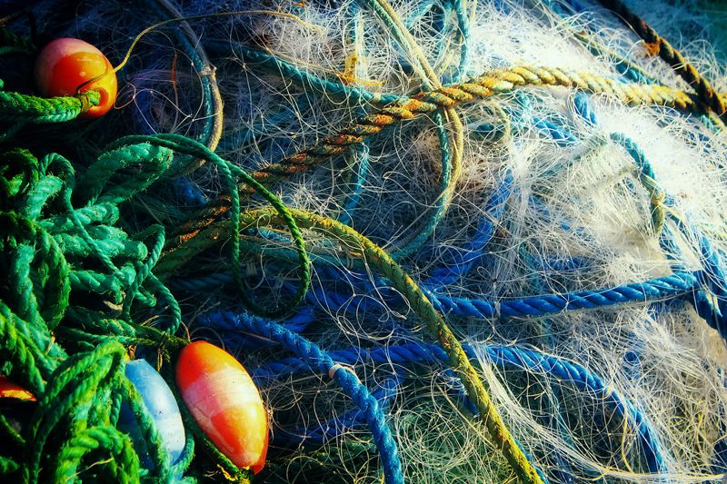 給非目標魚類的「逃生指示燈」 研究：漁網裝LED燈 可使混獲減半
