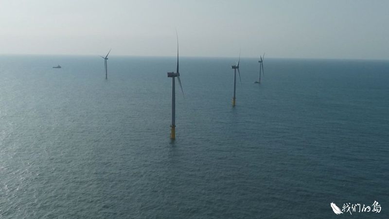 離岸奏鳴曲 兼顧海洋生態與能源轉型的挑戰才開始