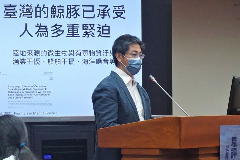 離岸風電環評未解決的鯨豚問題 立委辦公聽會 呼籲海事噪音資訊地圖化