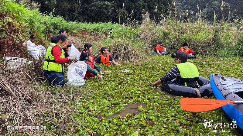 雙連埤重生之路 水生植物的天堂能否再現？